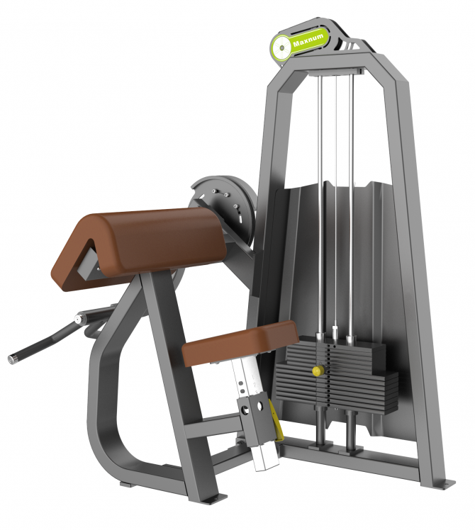 SEATED BICEPS CURL