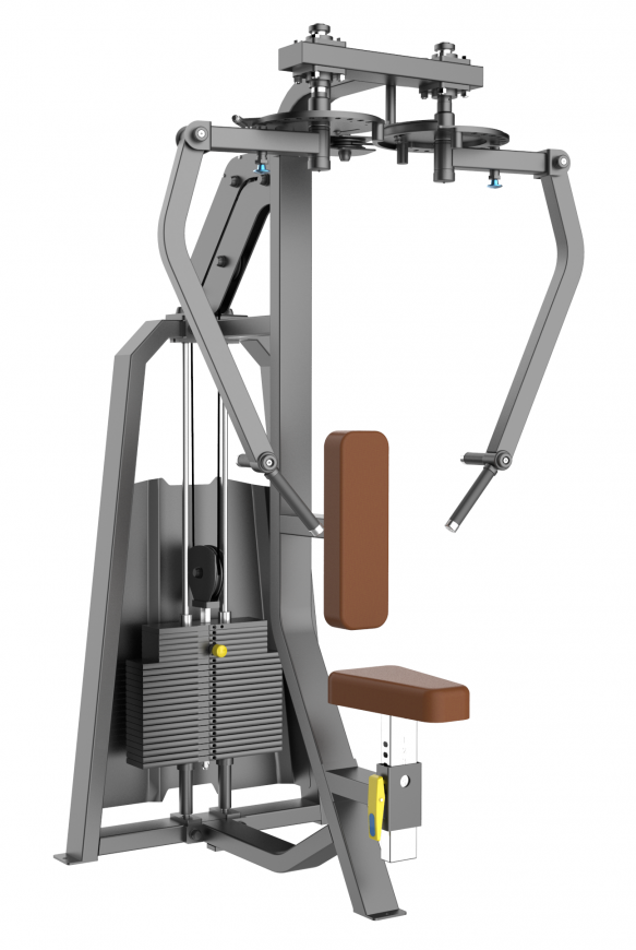 PEC FLY/REAR DELT